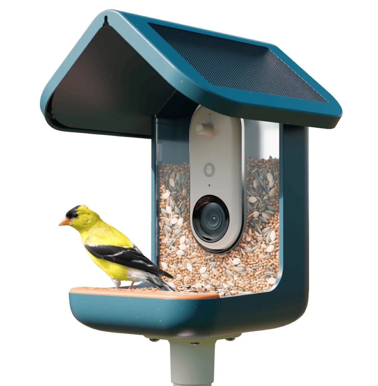 smart birdfeeder with a beautiful yellow bird perching on top