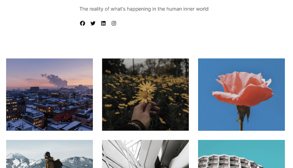 A portfolio template for a photographer within SeedProd.