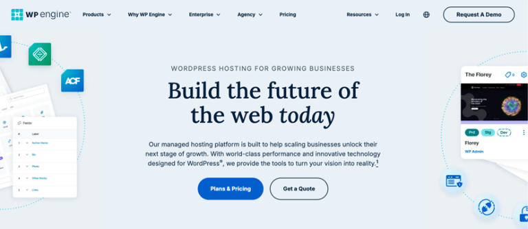 WP Engine Review 2025: Can It Truly Boost Your Site's Speed?